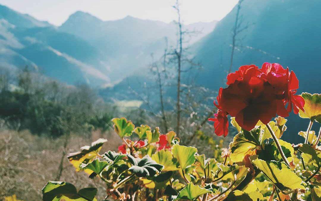 Rincon del SOL, alojamiento rural en Asturias