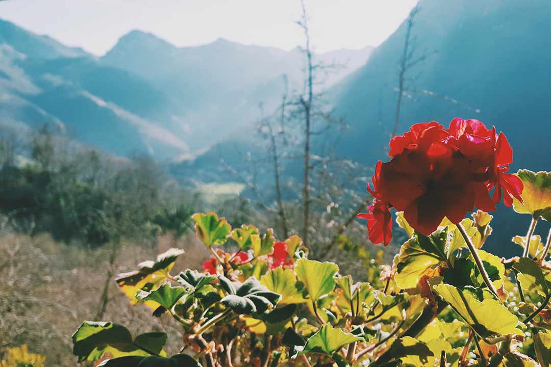 Casa Rural en Asturias y los Picos de Europa. Rincón del Sol